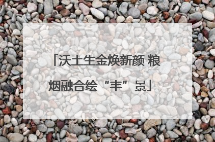 沃土生金焕新颜 粮烟融合绘“丰”景