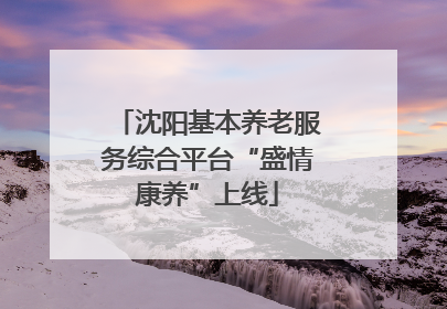 沈阳基本养老服务综合平台“盛情康养”上线