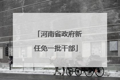 河南省政府新任免一批干部