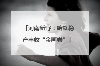 河南新野：绘就稳产丰收“金画卷”