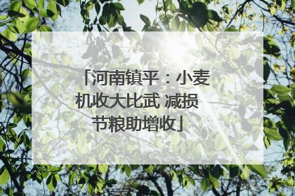 河南镇平：小麦机收大比武 减损节粮助增收