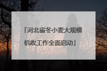 河北省冬小麦大规模机收工作全面启动