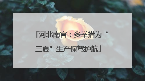 河北南宫：多举措为“三夏”生产保驾护航
