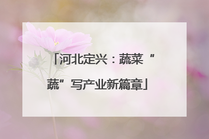 河北定兴：蔬菜“蔬”写产业新篇章
