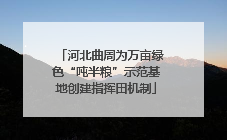河北曲周为万亩绿色“吨半粮”示范基地创建指挥田机制
