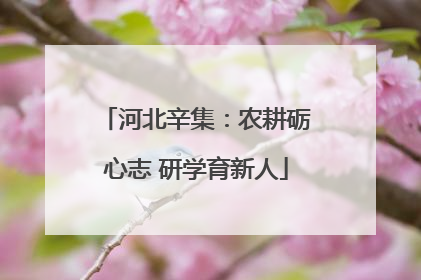 河北辛集：农耕砺心志 研学育新人