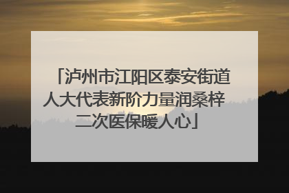 泸州市江阳区泰安街道人大代表新阶力量润桑梓 二次医保暖人心