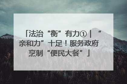 法治“衡”有力①｜“亲和力”十足！服务政府烹制“便民大餐”