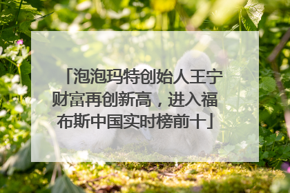 泡泡玛特创始人王宁财富再创新高，进入福布斯中国实时榜前十
