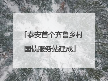 泰安首个齐鲁乡村国债服务站建成