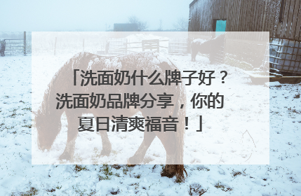 洗面奶什么牌子好？洗面奶品牌分享，你的夏日清爽福音！