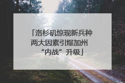 洛杉矶惊现新兵种 两大因素引爆加州“内战”升级