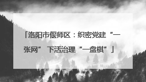 洛阳市偃师区：织密党建“一张网” 下活治理“一盘棋”