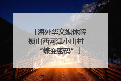 海外华文媒体解锁山西河津小山村“蝶变密码”