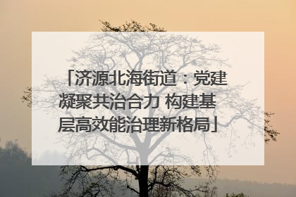 济源北海街道：党建凝聚共治合力 构建基层高效能治理新格局