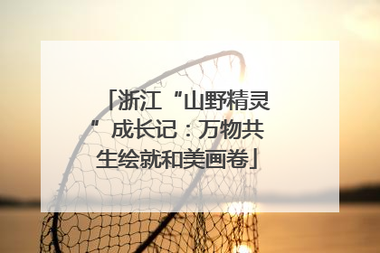 浙江“山野精灵”成长记：万物共生绘就和美画卷