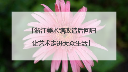 浙江美术馆改造后回归 让艺术走进大众生活