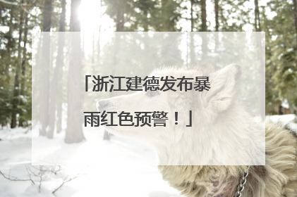 浙江建德发布暴雨红色预警！