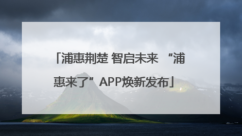 浦惠荆楚 智启未来 “浦惠来了”APP焕新发布