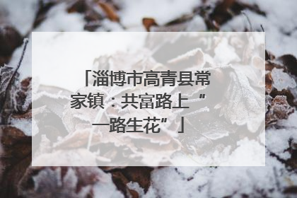 淄博市高青县常家镇：共富路上“一路生花”