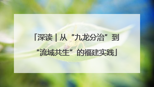 深读｜从“九龙分治”到“流域共生”的福建实践