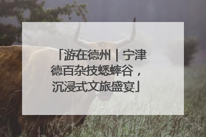 游在德州｜宁津德百杂技蟋蟀谷，沉浸式文旅盛宴