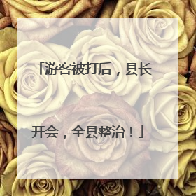 游客被打后，县长开会，全县整治！