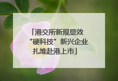 港交所新规显效 “硬科技”新兴企业扎堆赴港上市
