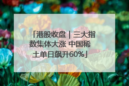 港股收盘｜三大指数集体大涨 中国稀土单日飙升60%