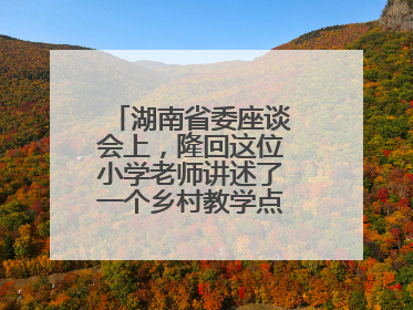 湖南省委座谈会上，隆回这位小学老师讲述了一个乡村教学点的温暖故事