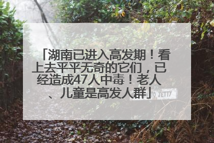 湖南已进入高发期！看上去平平无奇的它们，已经造成47人中毒！老人、儿童是高发人群