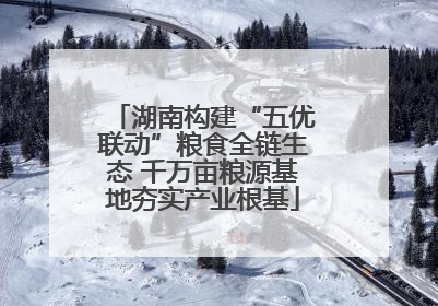 湖南构建“五优联动”粮食全链生态 千万亩粮源基地夯实产业根基