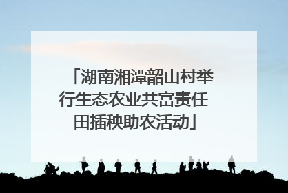 湖南湘潭韶山村举行生态农业共富责任田插秧助农活动