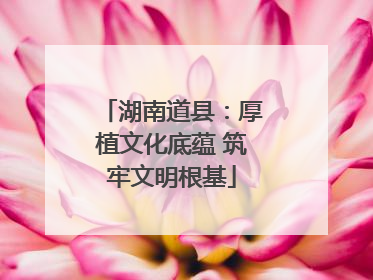 湖南道县：厚植文化底蕴 筑牢文明根基