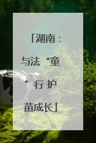 湖南：与法“童”行 护苗成长