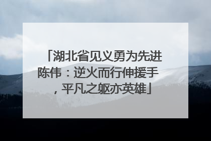 湖北省见义勇为先进陈伟：逆火而行伸援手，平凡之躯亦英雄