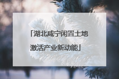 湖北咸宁闲置土地激活产业新动能