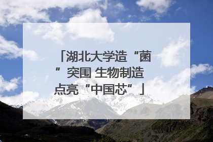 湖北大学造“菌”突围 生物制造点亮“中国芯”