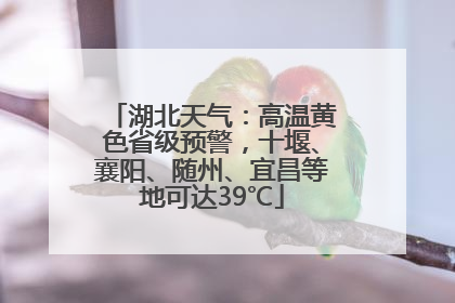 湖北天气：高温黄色省级预警，十堰、襄阳、随州、宜昌等地可达39℃