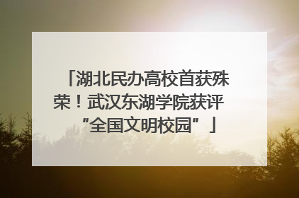 湖北民办高校首获殊荣！武汉东湖学院获评“全国文明校园”