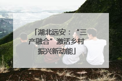 湖北远安：“三产融合”激活乡村振兴新动能