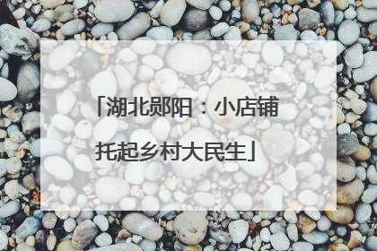 湖北郧阳：小店铺托起乡村大民生