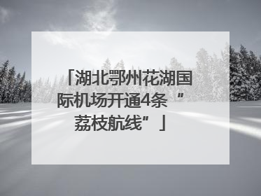 湖北鄂州花湖国际机场开通4条“荔枝航线”
