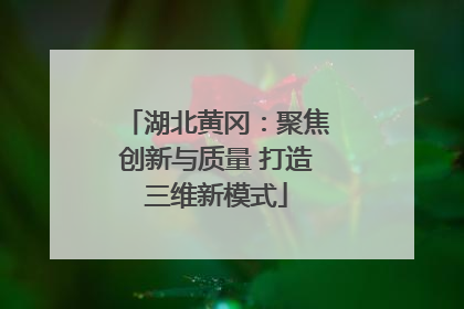 湖北黄冈：聚焦创新与质量 打造三维新模式