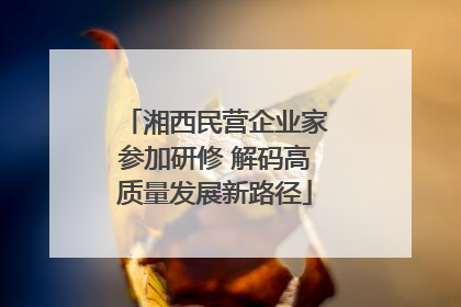 湘西民营企业家参加研修 解码高质量发展新路径