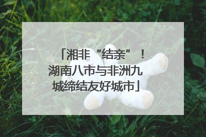 湘非“结亲”！湖南八市与非洲九城缔结友好城市