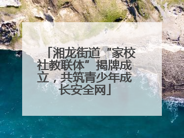 湘龙街道“家校社教联体”揭牌成立，共筑青少年成长安全网