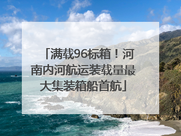 满载96标箱！河南内河航运装载量最大集装箱船首航
