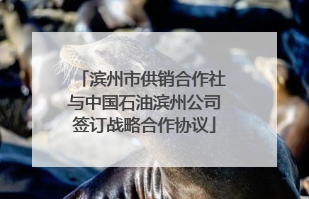滨州市供销合作社与中国石油滨州公司签订战略合作协议