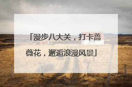 漫步八大关，打卡蔷薇花，邂逅浪漫风景